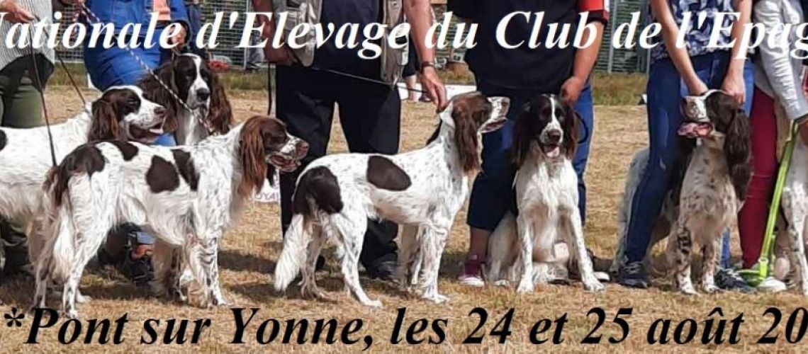 45ème Nationale d'Elevage 2024 du CEF à Pont S/Yonne (89)