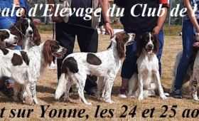 45ème Nationale d'Elevage 2024 du CEF à Pont S/Yonne (89)