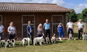 Exposition Canine Nationale d'Evreux (27)